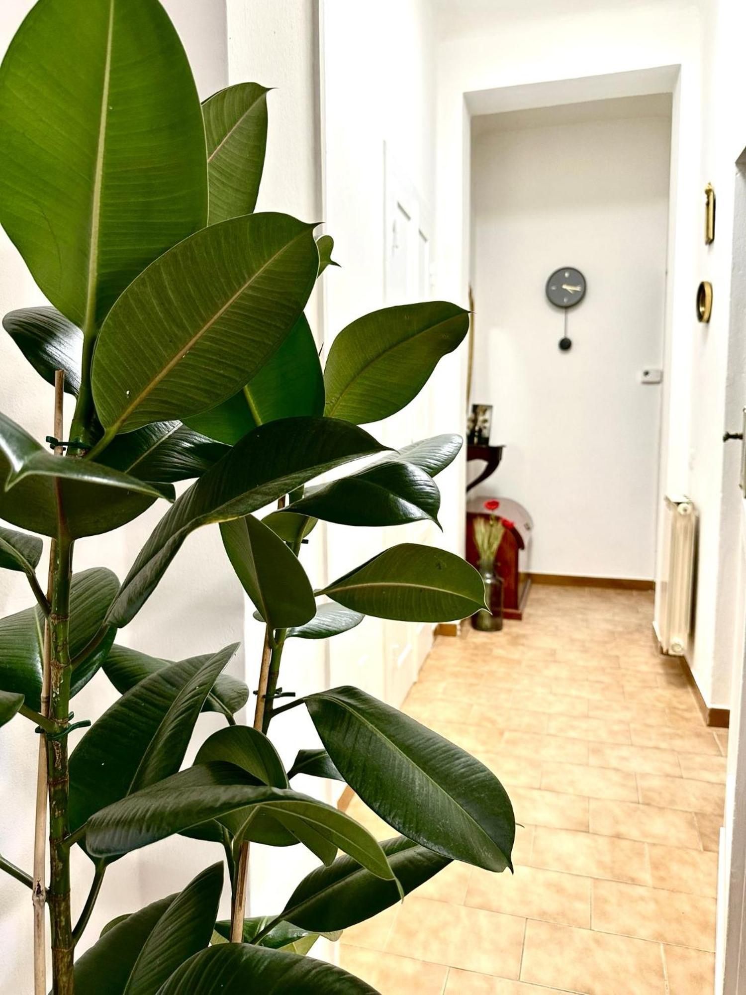Casa Ganza Villa Pisa Eksteriør billede